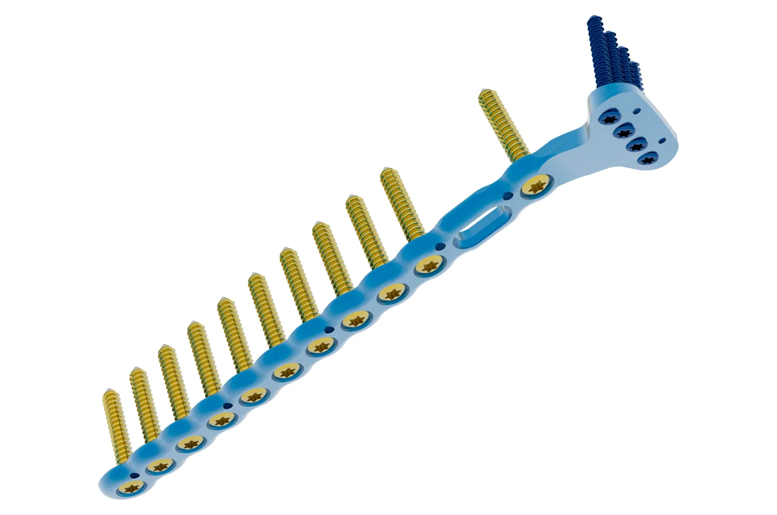 Placa de osteosíntesis con tornillos, fabricada por Bioprotece